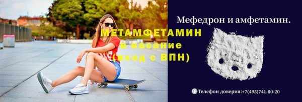 ГАЛЛЮЦИНОГЕННЫЕ ГРИБЫ Балахна