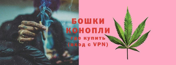 ГАЛЛЮЦИНОГЕННЫЕ ГРИБЫ Балахна